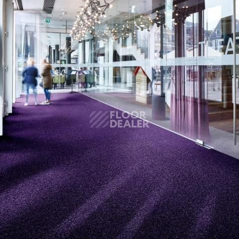 Forbo Coral Brush 5709 royal purple фото 2 | FLOORDEALER